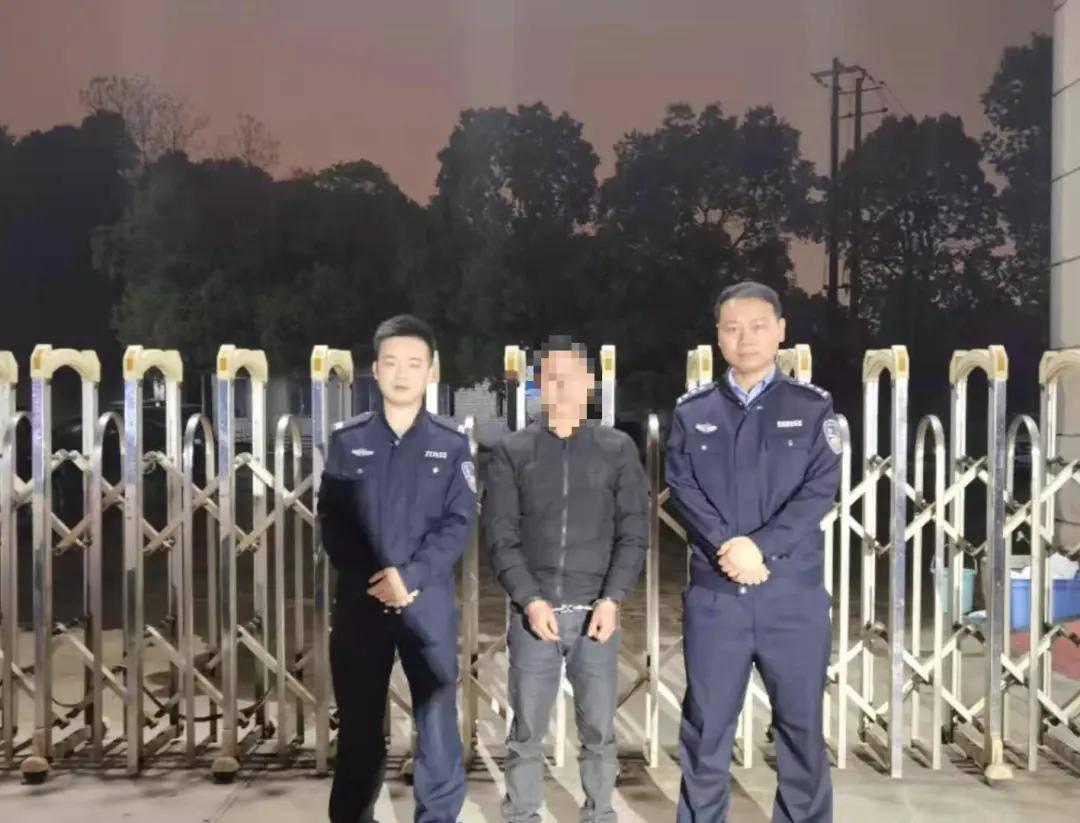 东园大桥最新动态,今日消息一网打尽!