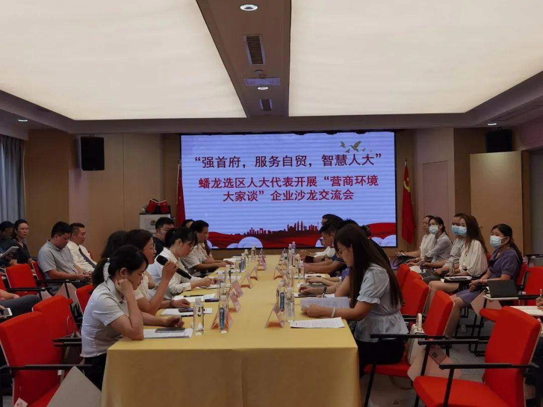 人大代表谈落实心得，责任与担当的交融展现