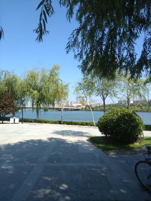 河北邯郸环保最新动态，严查环保，守护蓝天行动持续进行中