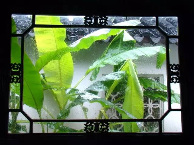 雨打芭蕉声声入耳，百度带你领略诗意之美