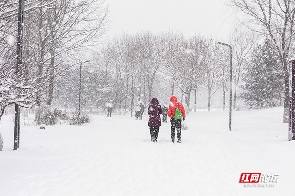西宁今日大雪纷飞，最新消息实时更新
