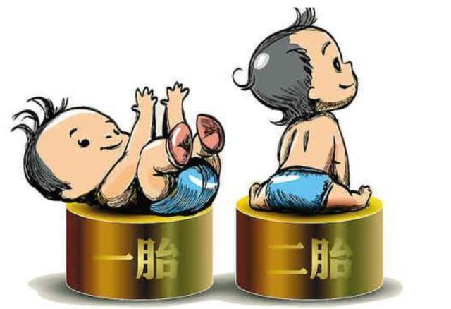 揭秘墙面掉落原因及应对之策