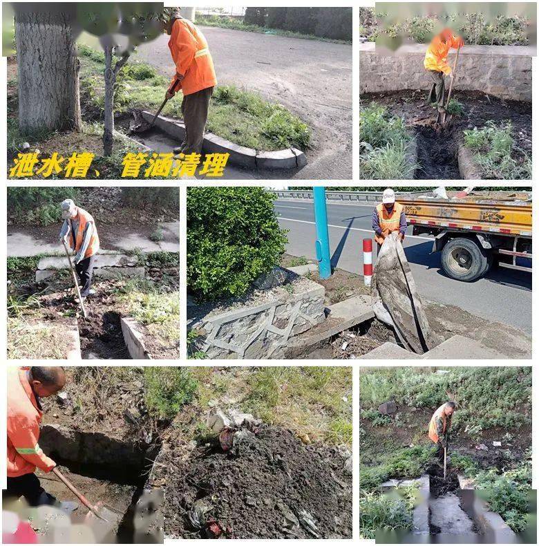 抓实整改落实，构建高效执行力之路