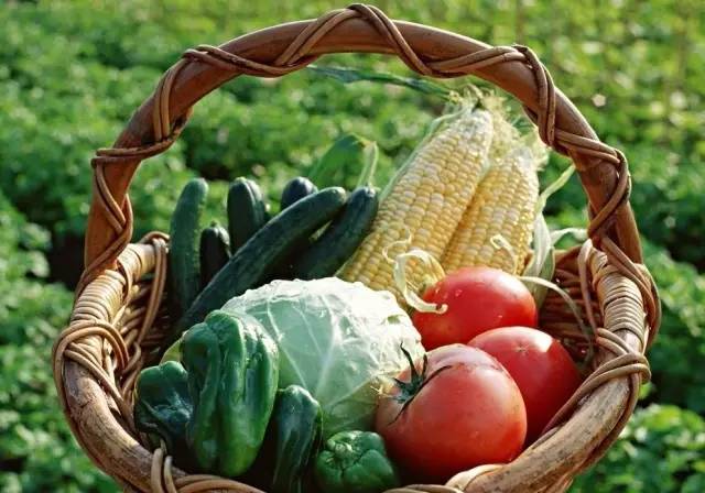 杏果盛宴，十大美味杏品种排名榜单揭晓！