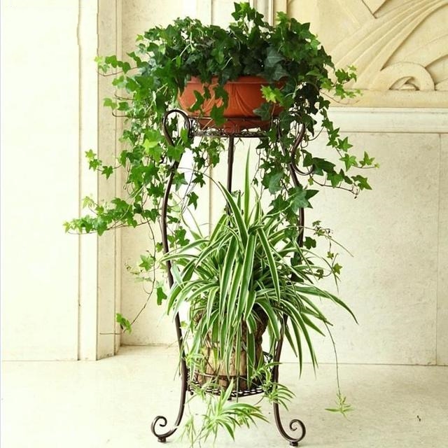 孝感花架公司排名TOP10，行业领军引领潮流风向标