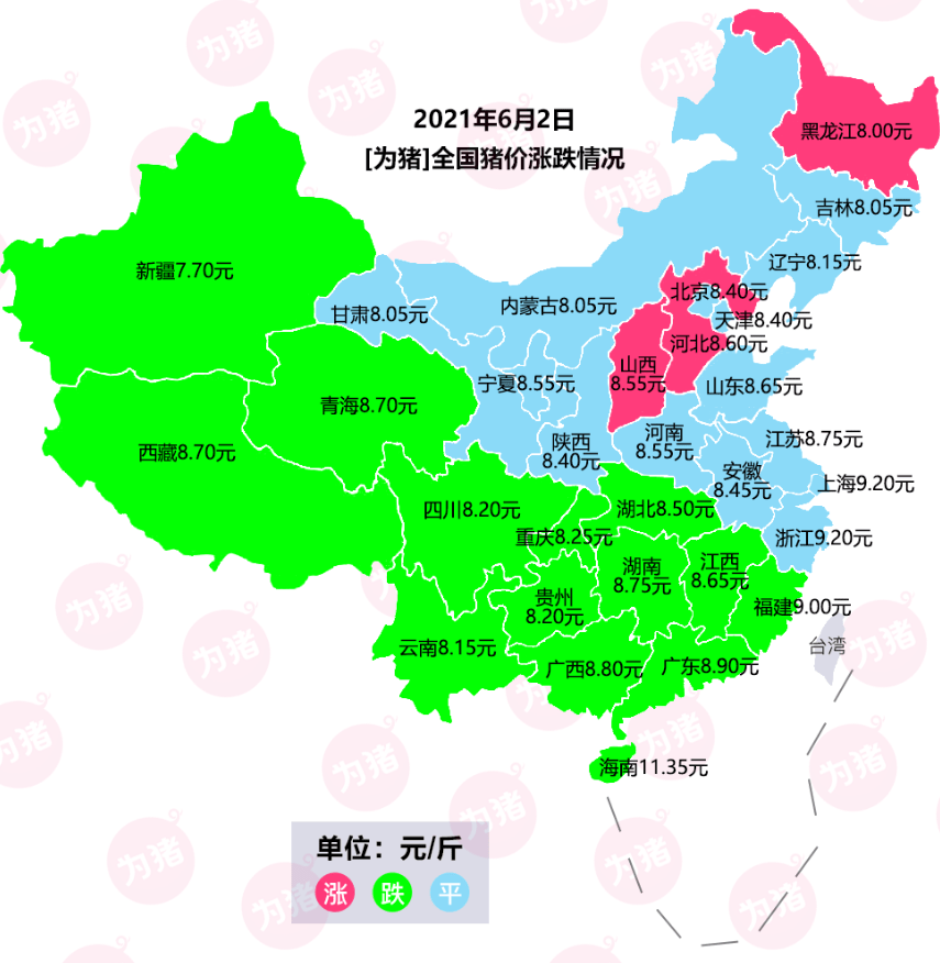 今日博弈，最新猪价行情深度解析
