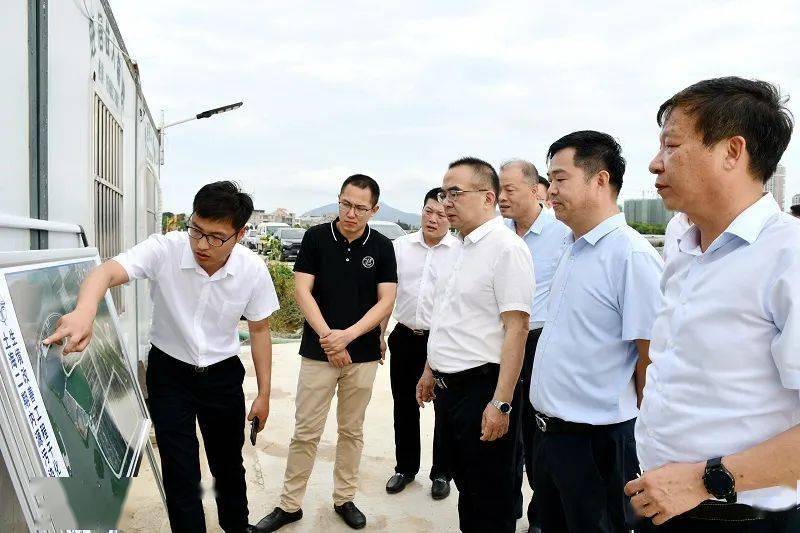 专题辅导，深化理解，提升能力的敲门砖