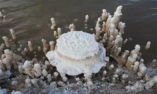 意气风发 第3页