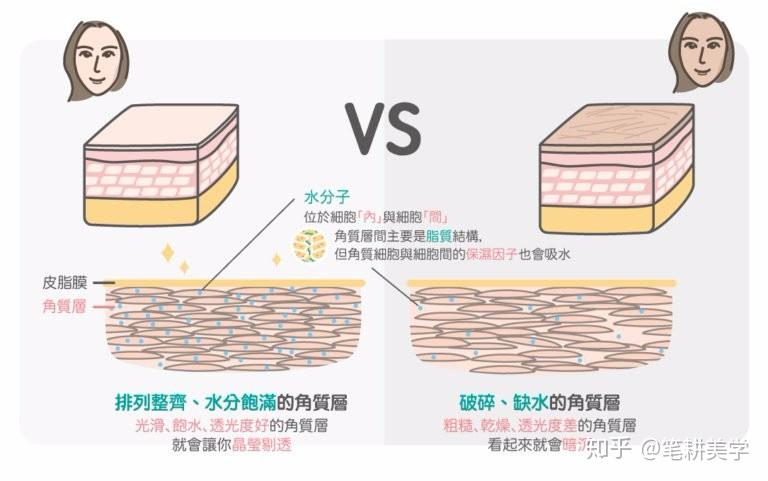皮肤光滑却频繁脱皮，成因分析及解决建议