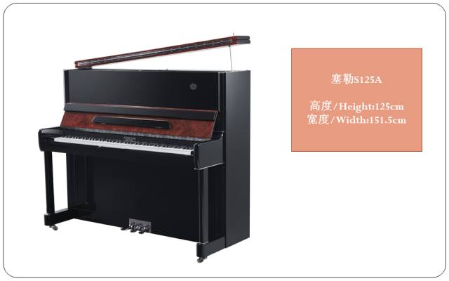 钢琴机构排名前十名，避雷指南揭秘优质选择！