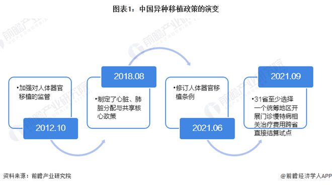 科研成果频现，创新力量与社会推动力驱动发展