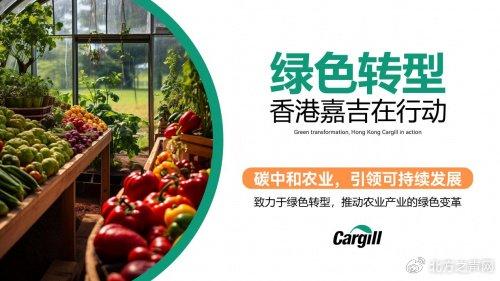 禹城高质高效大豆，卓越培育引领农业新时代