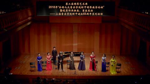 独家音乐盛宴，演奏视频展现音乐与技术完美融合的魅力