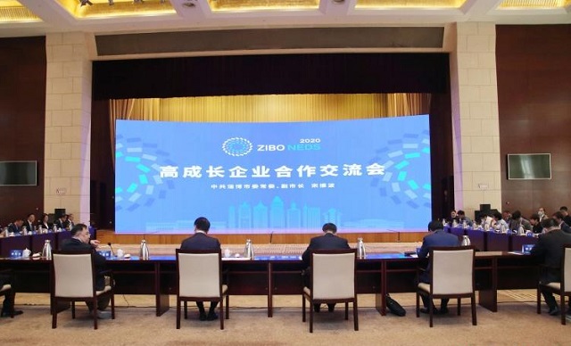 专题工作学习交流会，深化交流，共促工作进步新篇章