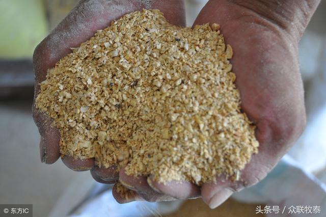 山东豆粕价格今日最新行情揭秘