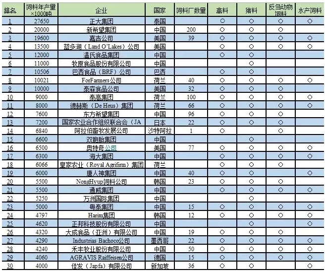 全球顶尖女子围棋棋手排名榜单揭晓，最新世界女子围棋排名表全解析