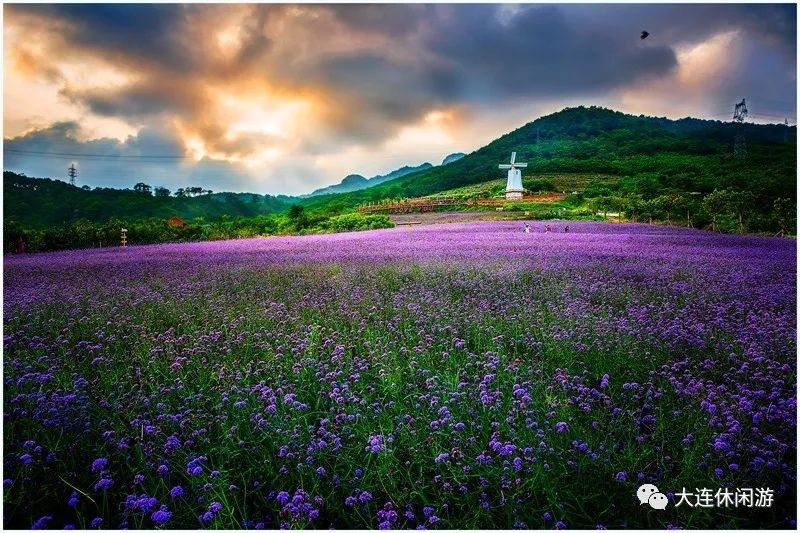 本溪商务旅行全攻略，畅游美景，尽享独特风情！