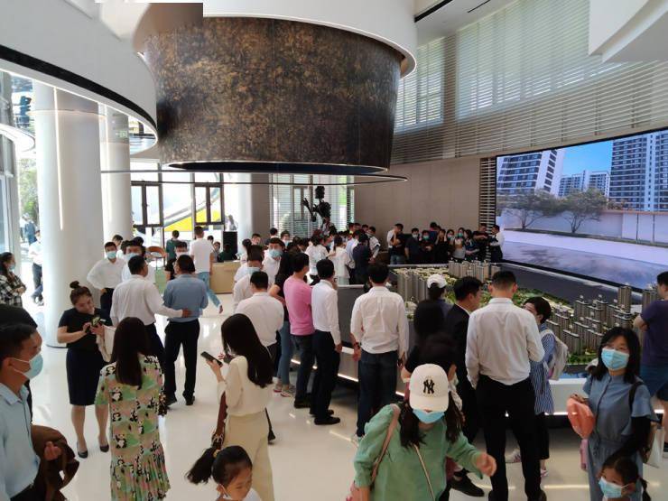 云南十大热门蔬果榜单揭晓！