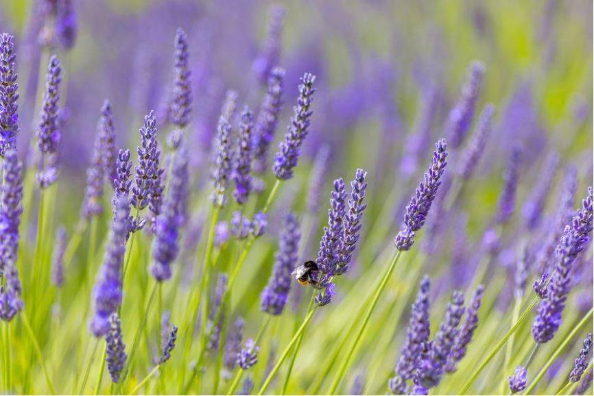 龙飞九五 第3页