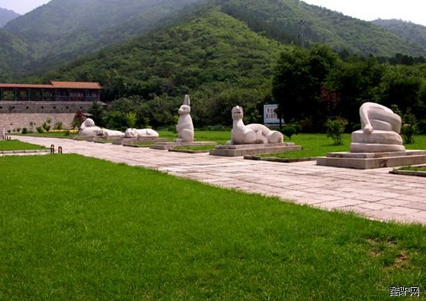 蟒山森林公园游玩秘籍，最新攻略全掌握