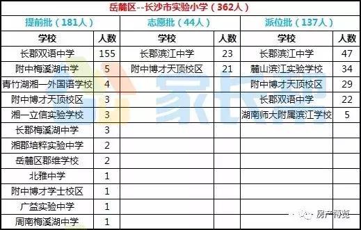 桐乡小学排名前十，教育质量与社会认可的双重标准详解
