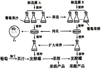 灭菌技术的中低高效,原理、应用与理解