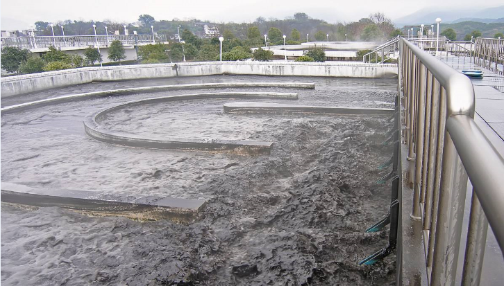 鸢飞戾天 第2页