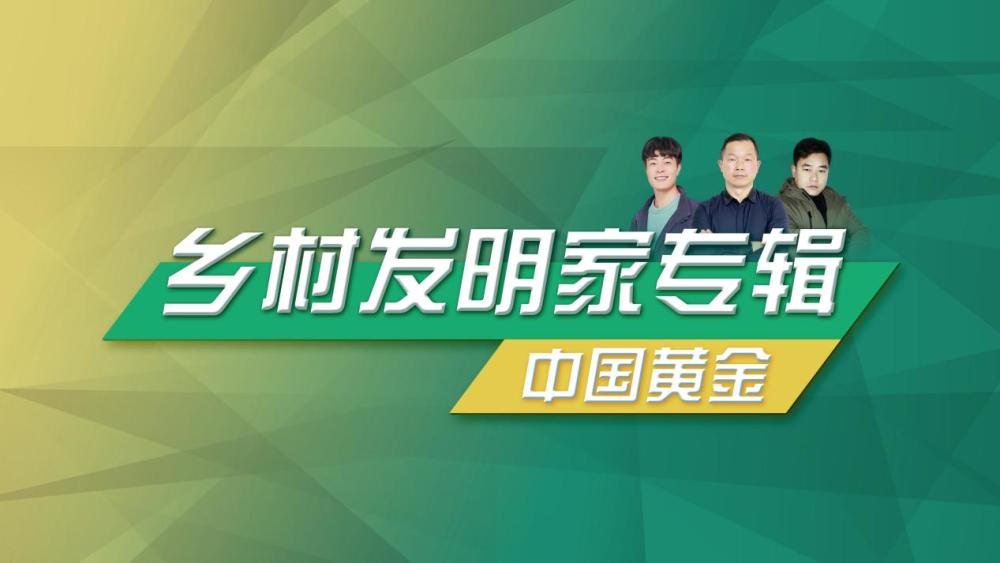 扬子五村最新头条新闻速递