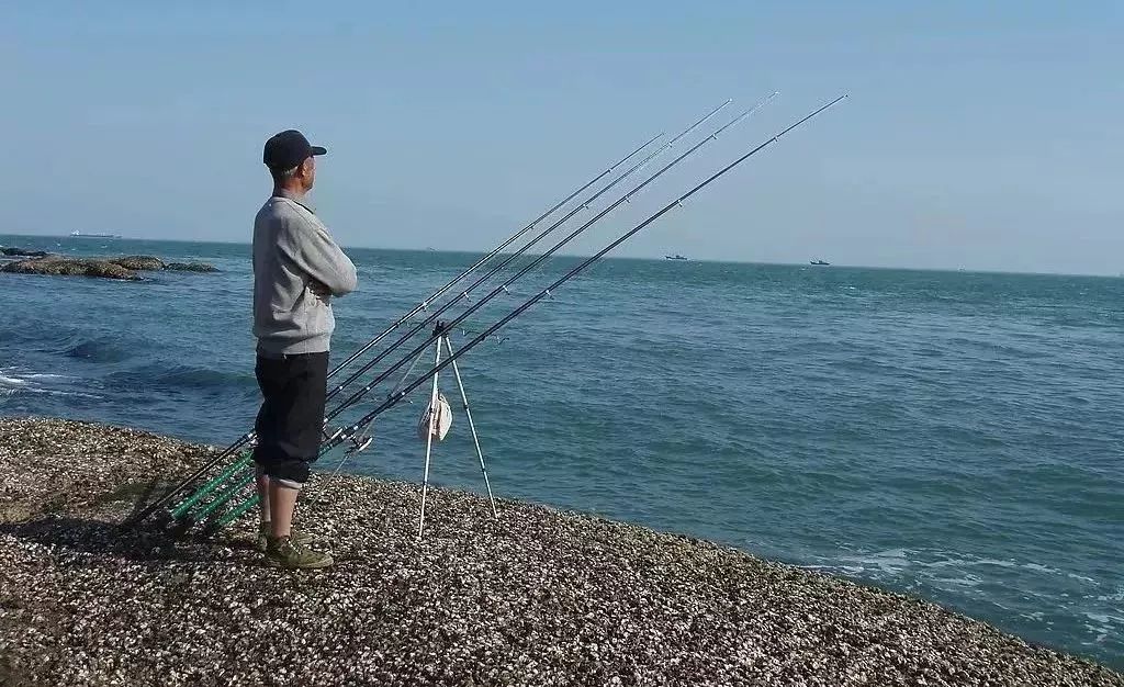 石家庄垂钓指南，最新钓鱼攻略全掌握