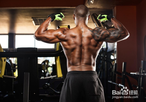 健身规范动作的关键性与实践指南