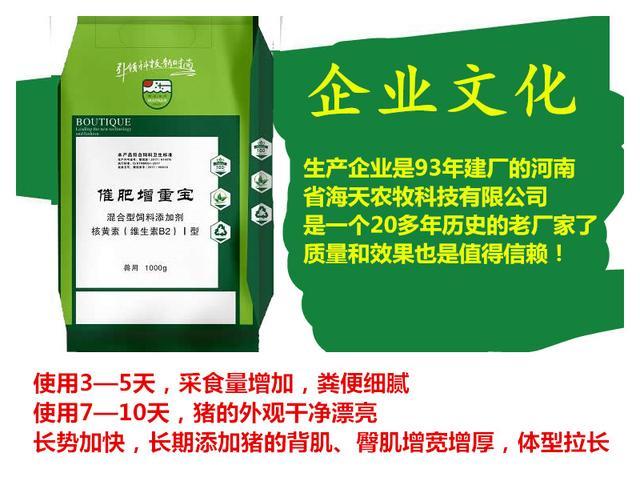 今日猪价最新消息，早报揭示最新动态